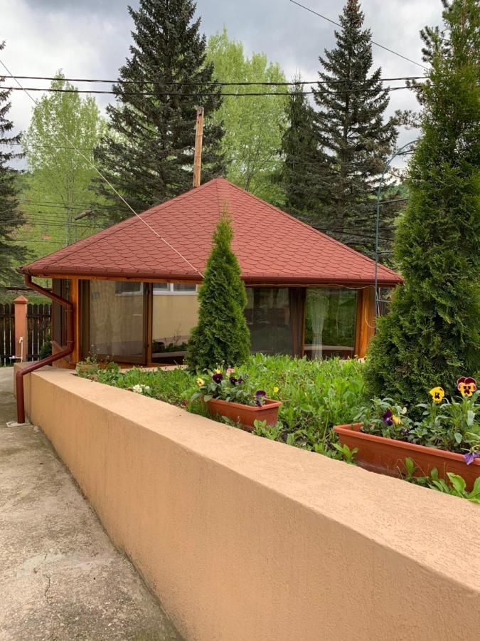Мини-отель Casa Galbena Слэник-26
