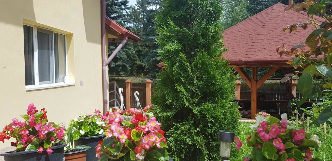 Мини-отель Casa Galbena Слэник-44