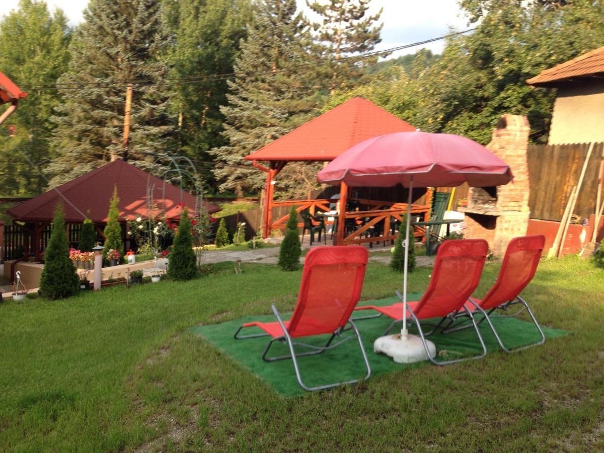Мини-отель Casa Galbena Слэник-45
