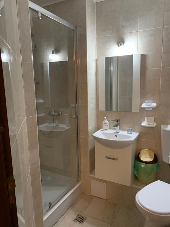 Мини-отель Casa Galbena Слэник